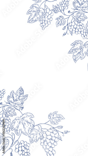 Elegant clipart frames with grape clusters and grapevine leaves in detailed line art style. Botanical borders perfect for wine labels, wedding invitations, packaging, menus, and vineyard branding