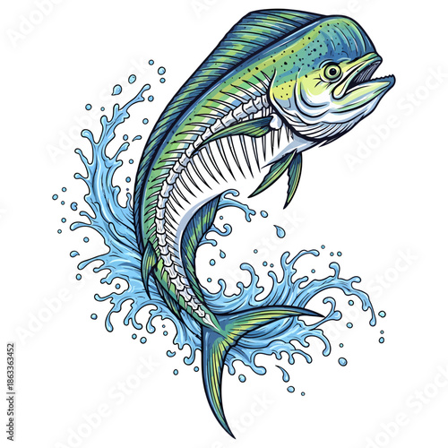 Mahi Mahi Dorado jumping fish skeleton illustration with water splash for fishing logo