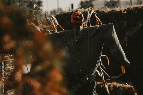 Autumn Halloween frames from a pumpkin park are filled with warm light, pumpkin decorations and a slightly mysterious mood. It’s a place where autumn meets the magic of Halloween.