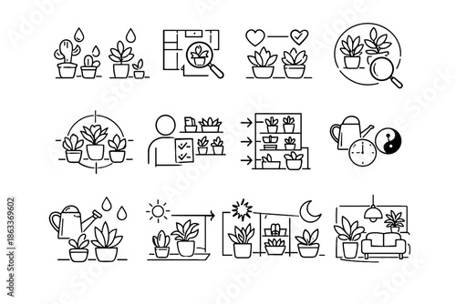 Icon habit efficiency care step vector icons organize plant zones grouping