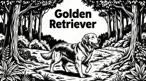 Golden Retriever walks along a forest path, black and white composition emphasizing softness, friendly expression, natural light, and peaceful woodland atmosphere
