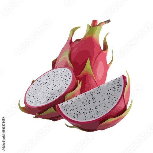 Sliced dragon fruit display isolated on white background, Vector