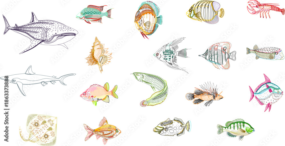 Fototapeta premium Detailed colorful vector illustration set of marine life featuring various tropical fish, sharks, shells, and lobsters in an artistic hand-drawn style.