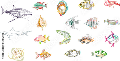 Detailed colorful vector illustration set of marine life featuring various tropical fish, sharks, shells, and lobsters in an artistic hand-drawn style.