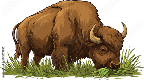Cute Cartoon Buffalo Grazing on Green Grass with Bold Outline Vector Illustration
