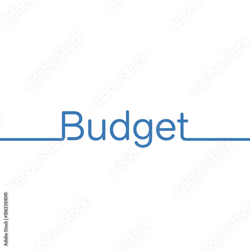 Financial Management Concept with Budget Text and Graphs for Business Analysis