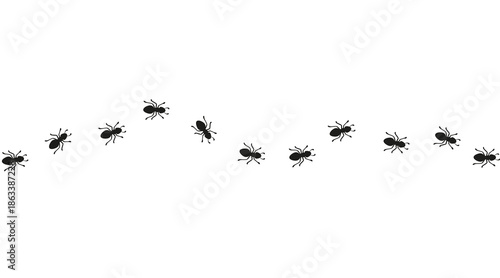 Curved trail of worker ants. Insect path forming a winding line. Ant background element for design and decoration. Simple vector illustration on a white background.