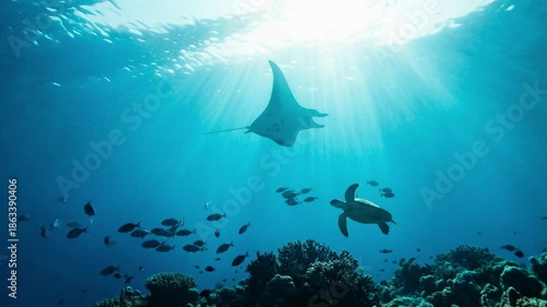 Majestic manta ray and a green sea turtle swimming gracefully together in the clear blue ocean over a vibrant coral reef, with beautiful sun rays beaming through the water's surface