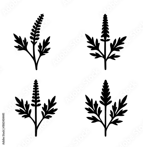 4 ragweed illustration icons, silhouette, transparent background