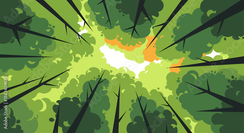 looking up at sunny forest canopy with trees and green foliage