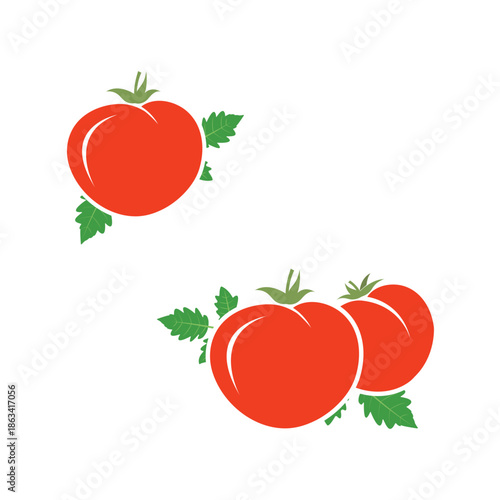 Red Tomato Vintage Style – Isolated Ripe Tomatoes with Leaves on White Background Vector Illustration