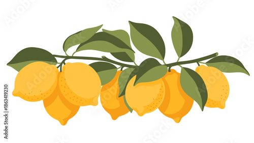 Lemon Branch Illustration: Fresh Citrus Fruit with Green Leaves, Isolated