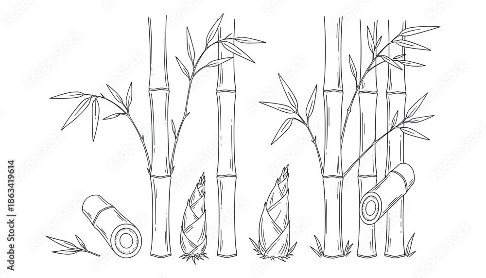 Naklejka premium Bamboo plants stem with leaf in outline sketch drawing style for decoration vector