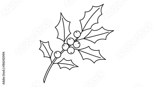 Holly berry leaf outline vector design isolated on transparent background for art