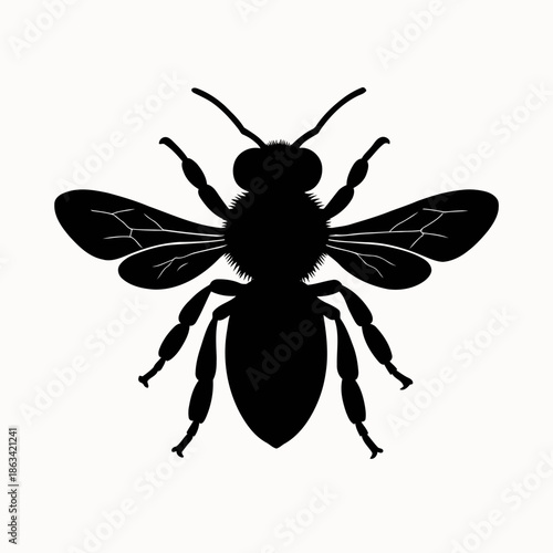 Simple silhouette vector illustration of a honey bee in sleek clean style