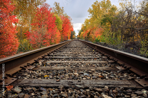 Foto Autumn leaves surrounding rural train tracks receding into the distance
