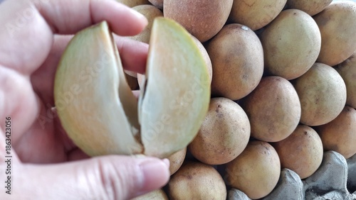 Close-Up of Hand Holding Cut Fresh Sawo or Sapodilla Fruit