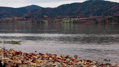 Ducks on Tegernsee (lake in Bavaria)