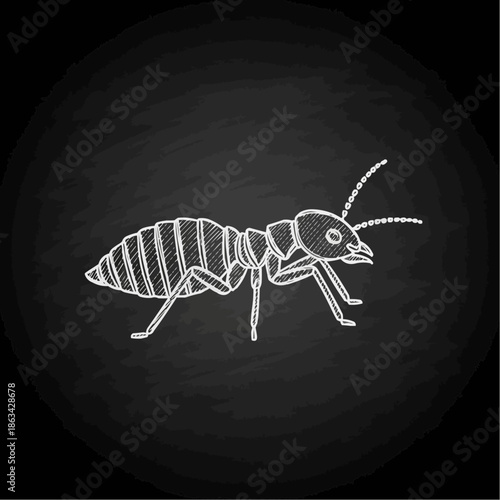 Detailed illustration of an ant on a chalkboard background
