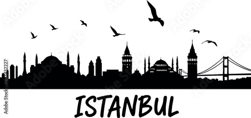 Istanbul city skyline silhouette with flying birds and iconic buildings vector art illustration