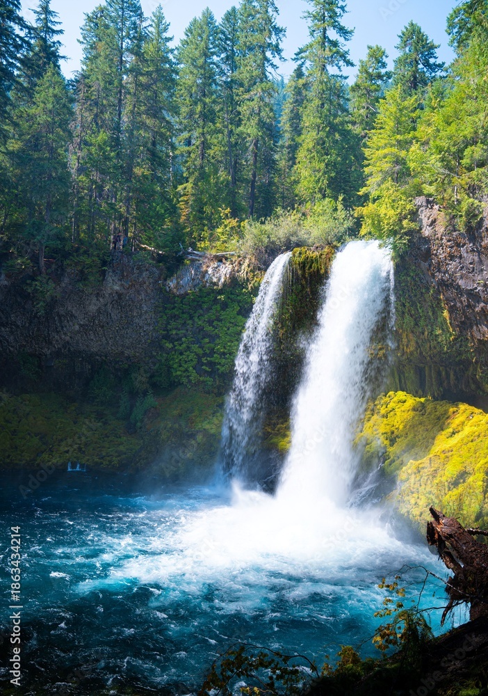 Obraz premium waterfall in the forest
