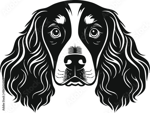 Black and White Springer Spaniel Dog Vector Art, Detailed Cocker Spaniel Head Portrait Illustration Isolated on White, Pet Care Branding, Animal Rescue Mascot, Dog Breed Silhouette Graphic Design.