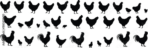 Chicken silhouettes collection, hen rooster chick icons, farm poultry vector illustration set, black animal shapes, isolated on white background, for stock design use
