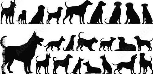 Dog breed silhouettes set, various puppy adult poses, black flat vector illustration, pet collection isolated on white background, for design projects