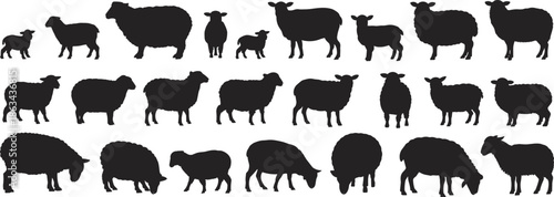 Sheep and lamb silhouette vector collection, farm livestock animals in various poses, grazing flock shapes, black and white agriculture illustration set