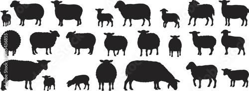 Sheep and lamb silhouette vector set, farm livestock collection, multiple poses and sizes, black and white pastoral agriculture illustration for stock design