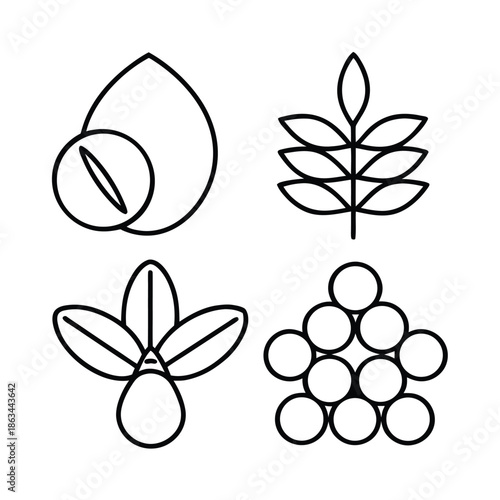 Set of four simple black line art icons representing different types of agricultural products including a nut grain stalk and fruit cluster for food industry design
