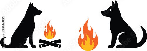 Outdoor Tent Campfire Camping Adventure Life