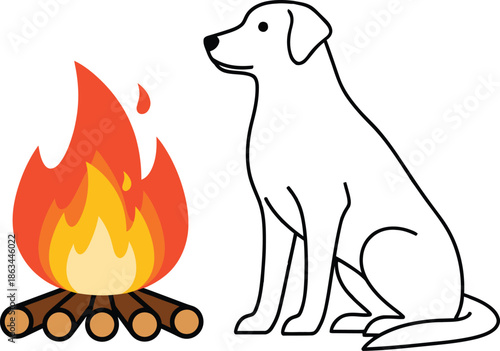 Dog Camping Campfire Night Outdoor Adventure