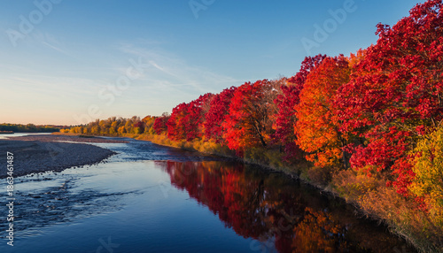 川沿いに広がる紅葉並木の秋風景背景