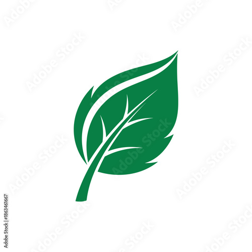 A vibrant green leaf, symbolizing growth, nature, and the environment