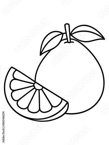 Citrus Delight: A minimalist illustration of a ripe citrus fruit, exuding freshness and the promise of a zesty burst of flavor.