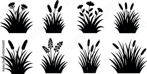 Silhouettes of Wild Grass and Flower Plants Vector Illustration in Black and White 