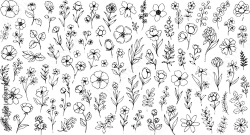 Big set of New collection of Floral vector with hand drawn, exclusive design. hand drawing. Not AI Vector illustration.
