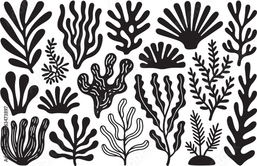 Black and white coral reef illustration with various seaweeds