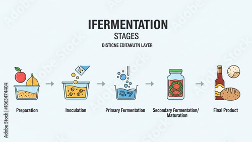 Fermentation stages from preparation to final product with food and drink items, with process with steps