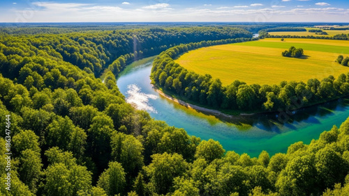 Aerial view of a serene landscape with a winding river, lush green forest, and a vast yellow field