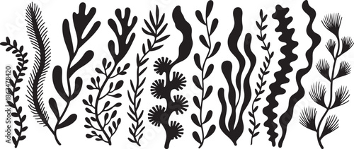 Collection of various black plant silhouettes on white background