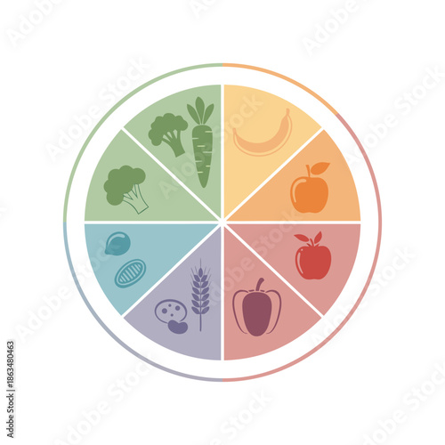 Colorful flat vector illustration of a balanced diet food wheel showing different food groups for healthy nutrition and meal planning.