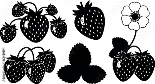 Strawberry fruit and leaf vector illustration with flower and multiple berries in black silhouette 
