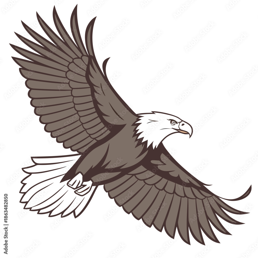 Obraz premium Majestic eagle in flight