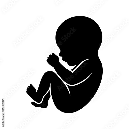 Black silhouette of a human fetus in womb isolated on white background