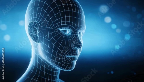 Human head wireframe model