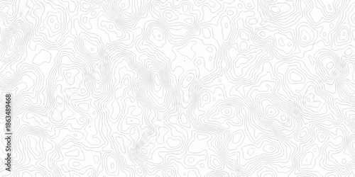 Seamless grid landscape white and gray area curve topography elevation map design. wave diagram contour stripe spiral composition discovery paper surface design.