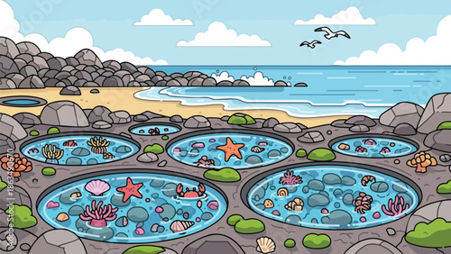 Vibrant cartoon depiction of a rocky beach shoreline with intricate tide pools teeming with colorful marine life under a clear sky