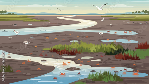 Vibrant animated wetland ecosystem, illustrating diverse wildlife: birds, crabs, fish, in a dynamic habitat of winding water, mudflats and marshlands.